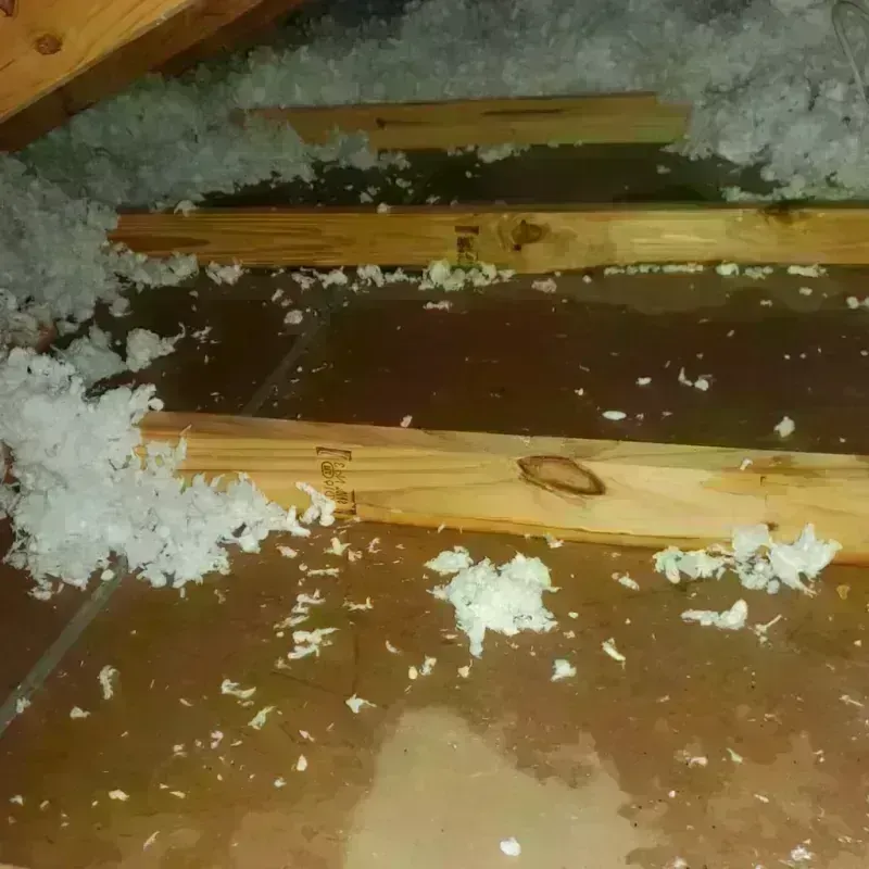 Attic Water Damage in Pike County, IL