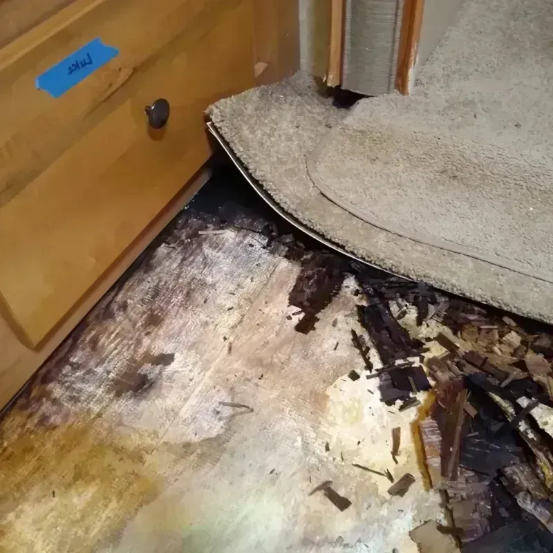 Best Wood Floor Water Damage Service in Pike County, IL